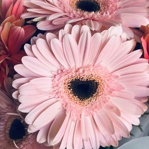 Meet your Posher, Madeline